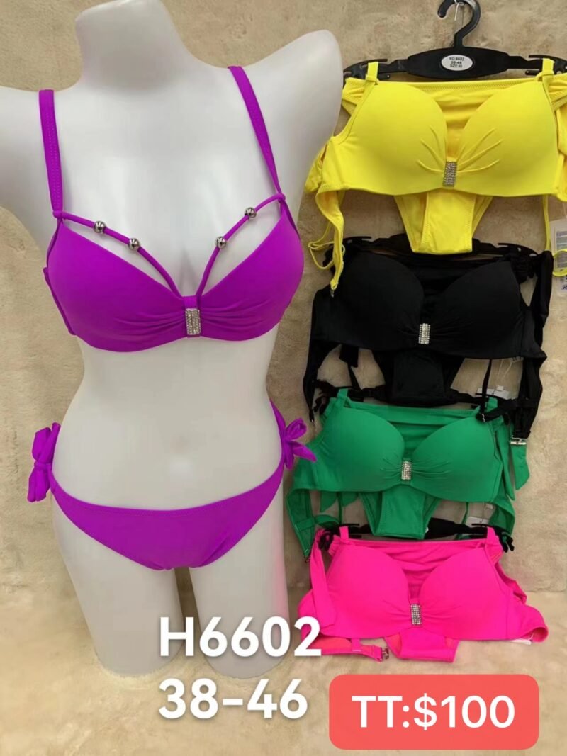 H6602