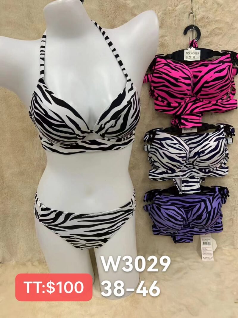 W3029