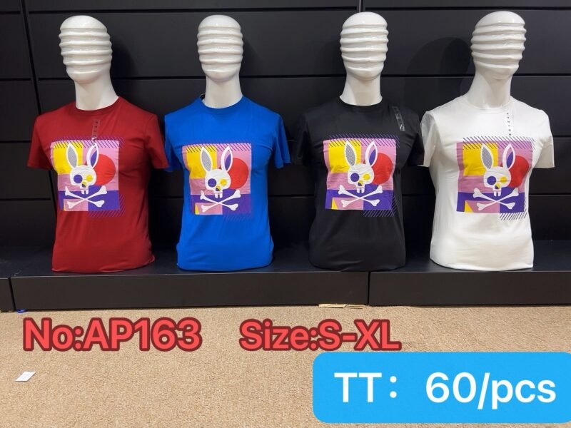 AP163.