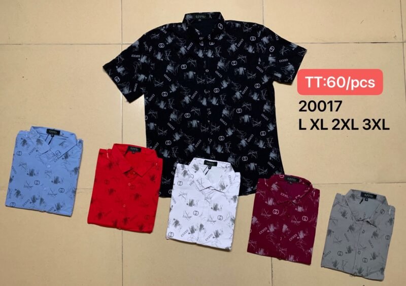 20017